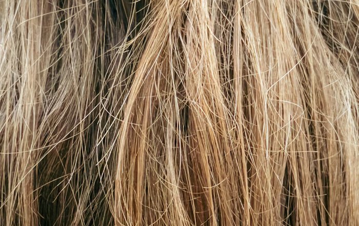 Article Image for How to Choose the Right Haircare for Your Scalp Type