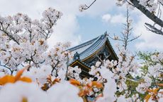 Article Image for International Beauty Secrets from South Korea and Japan
