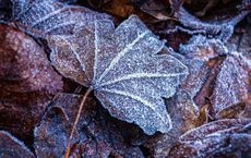 Article Image for Seasonal Skincare Adjustments for Different Climates