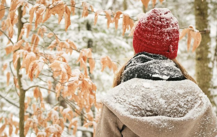 Article Image for Seasonal Skincare Tips for Different Climates