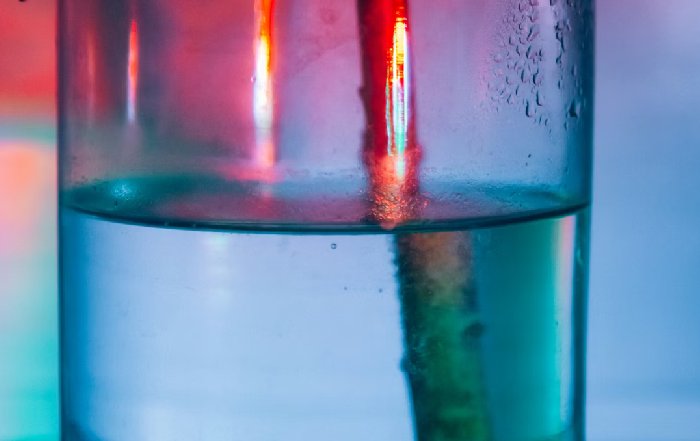 Article Image for The Science Behind Hyaluronic Acid and Hydration