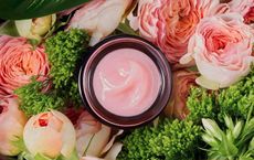 Top Organic Skincare Products