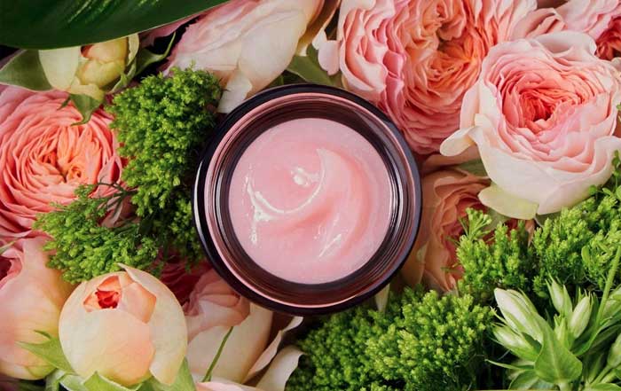 Top Organic Skincare Products