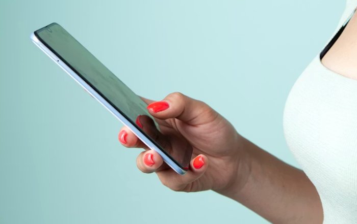 Article Image for Wellness Apps That Help Maintain Beauty Routines