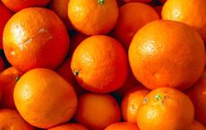 Article Image for Wellness Foods That Enhance Skin Elasticity and Hydration
