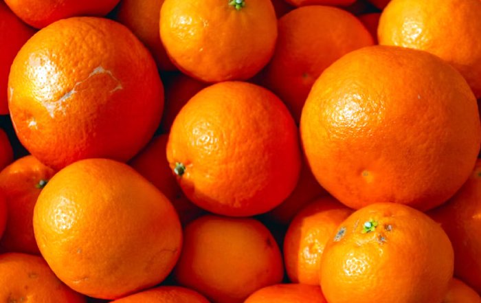 Article Image for Wellness Foods That Enhance Skin Elasticity and Hydration